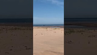 Walking on Brackley beach Canada
