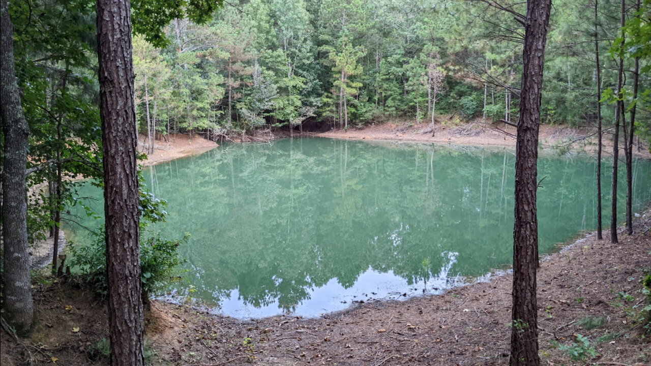 Cannon Farm - Pond Update