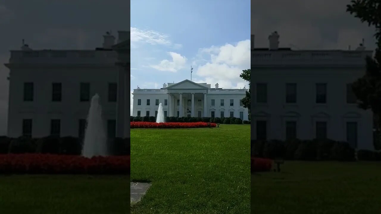 8/22/22 Nancy Drew-Video 1(11:15AM)- WH Area- Sleepy MIA Again