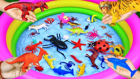 Wild Life Zoo Animals Learn Animal Name Very Beautiful Animal Toys Sea toys Jurassic World Dinosaur