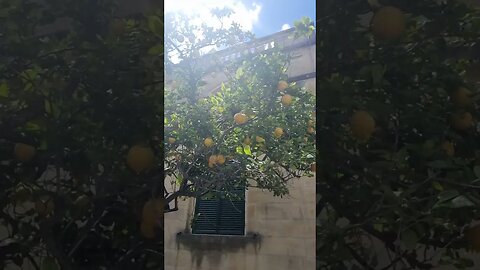 Malta 🇲🇹