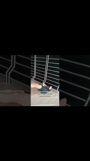 Estos Son los 2 Tipos de Personas en un Domingo por la Tarde 😴