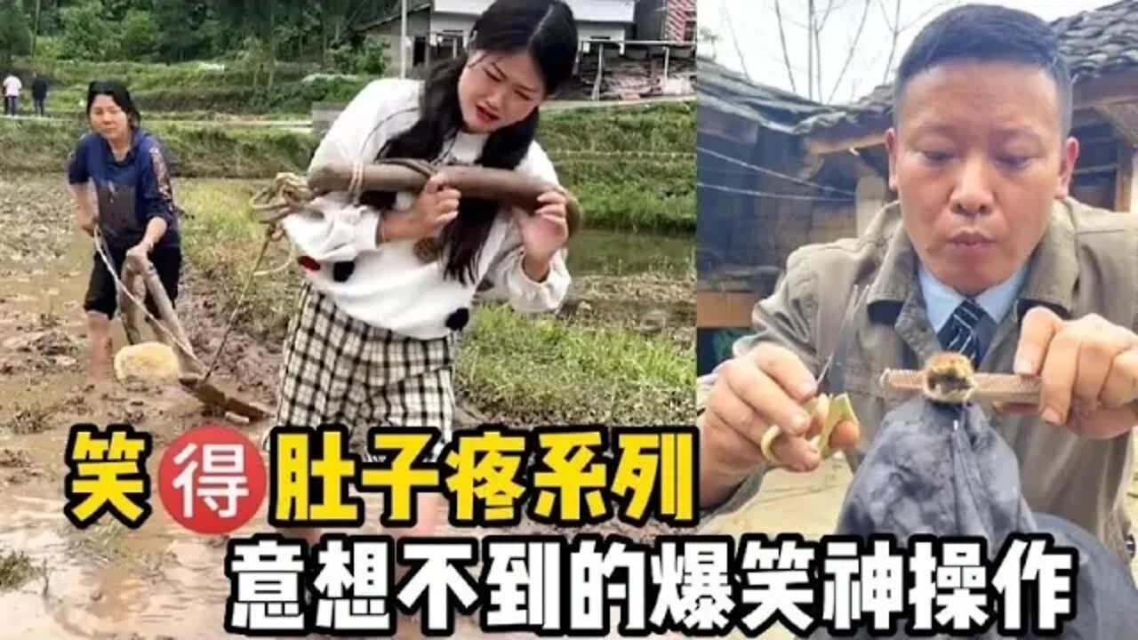 #爆笑生活 之神操作,用人耕地牛下岗了吗?给鸡理发鸡同意了吗#吃瓜观影站 #搞笑瞬间 #爆笑生活