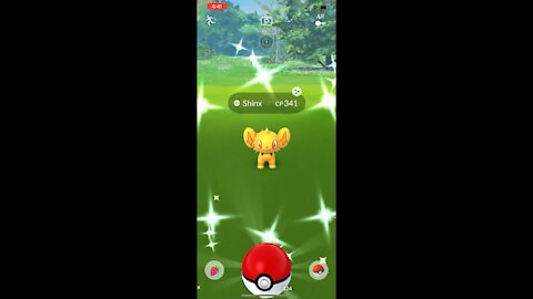 Pokémon go - Shiny Catches!