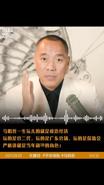 马明哲一生玩的就是政治经济；玩的是官二代；玩的是广东官场；玩的是保监会，类似清朝和珅的角色！王岐山说马明哲和柳传志是中国改革开放以来最要了解的人。马明哲也是为数不多的