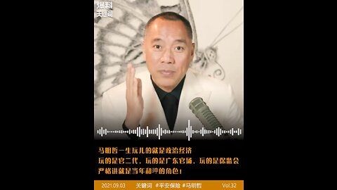 马明哲一生玩的就是政治经济；玩的是官二代；玩的是广东官场；玩的是保监会，类似清朝和珅的角色！王岐山说马明哲和柳传志是中国改革开放以来最要了解的人。马明哲也是为数不多的