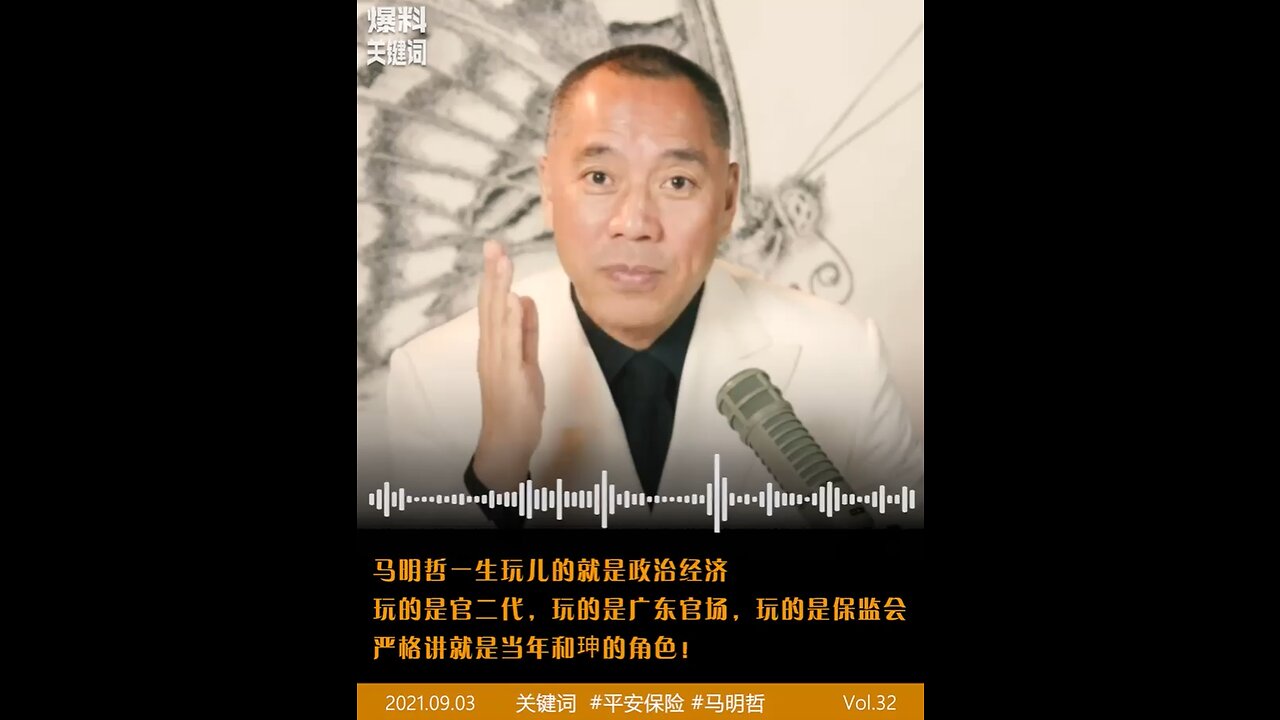 马明哲一生玩的就是政治经济；玩的是官二代；玩的是广东官场；玩的是保监会，类似清朝和珅的角色！王岐山说马明哲和柳传志是中国改革开放以来最要了解的人。马明哲也是为数不多的