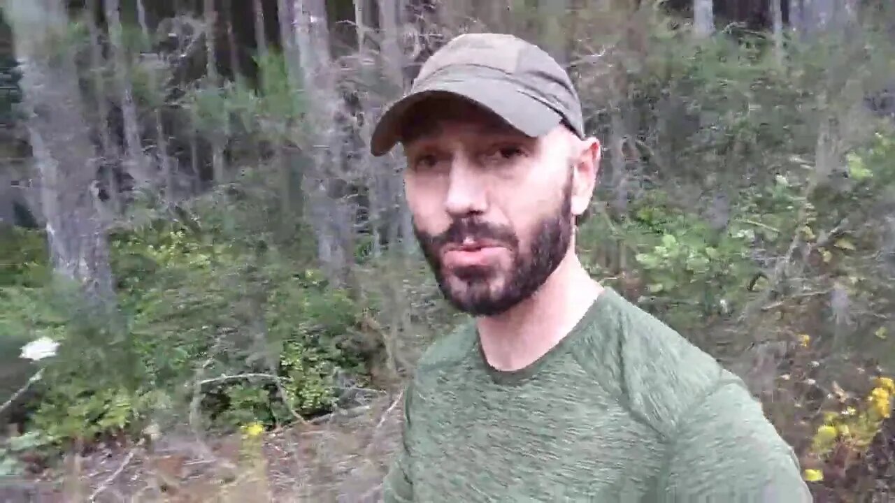 Uncomfortably Comfortable; A Patreon Video