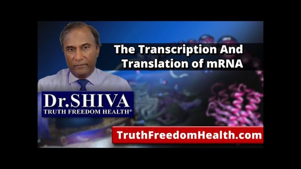 Dr.SHIVA: The Transcription And Translation of mRNA