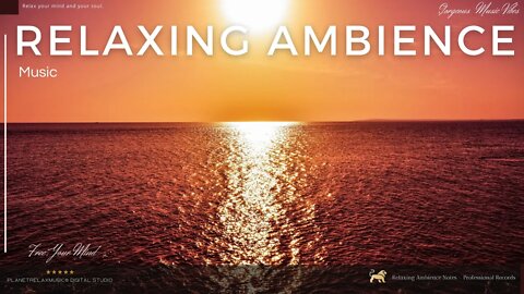 ★︎Relaxing Ambience Gorgeous Vibes★︎ Perfect Relaxing Music for Your Moments of Peace.