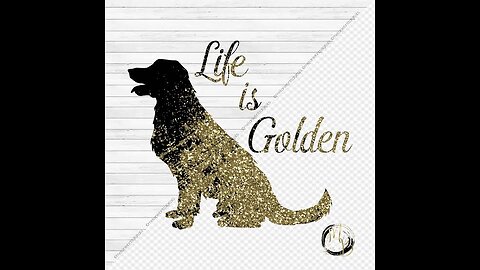 This quick dog training tip will change everything!