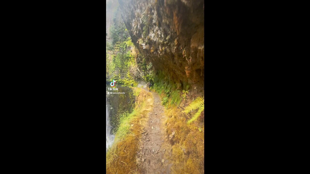 Tunnel Falls Oregon