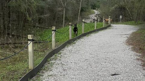 A Walk In The Nature Reserve