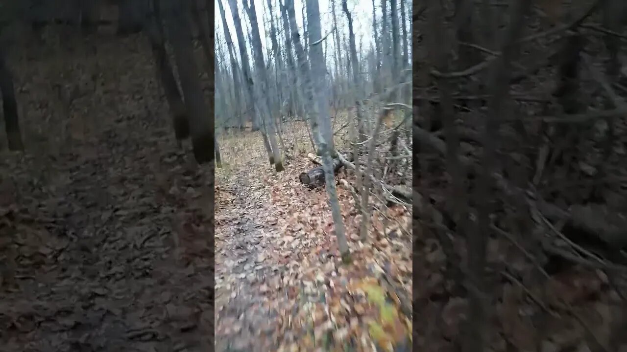 Rain and Snow means it makes you go, get out and do some jogging