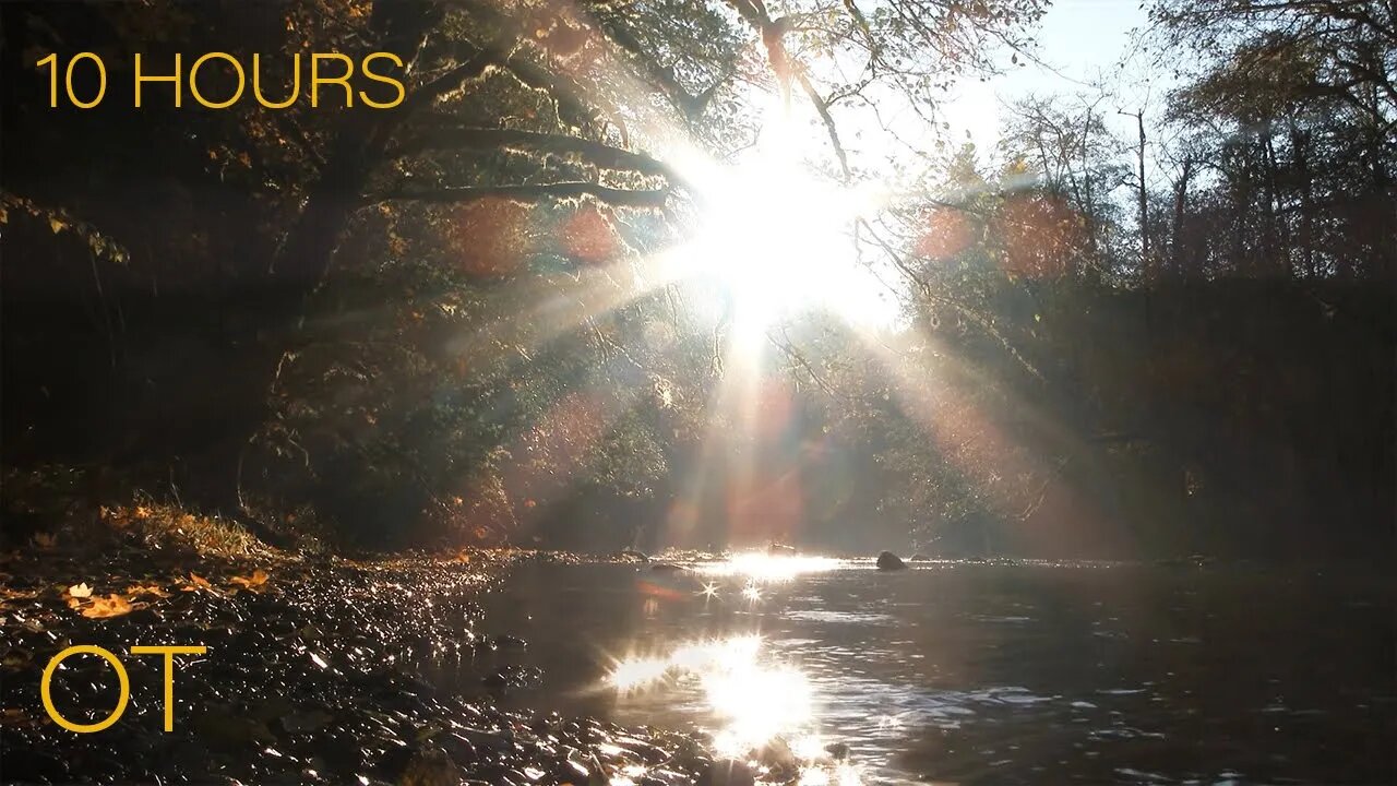 Sunset River | Ambient Water and Atmospheric Sounds for Relaxation | Studying | Sleeping | 10 Hours