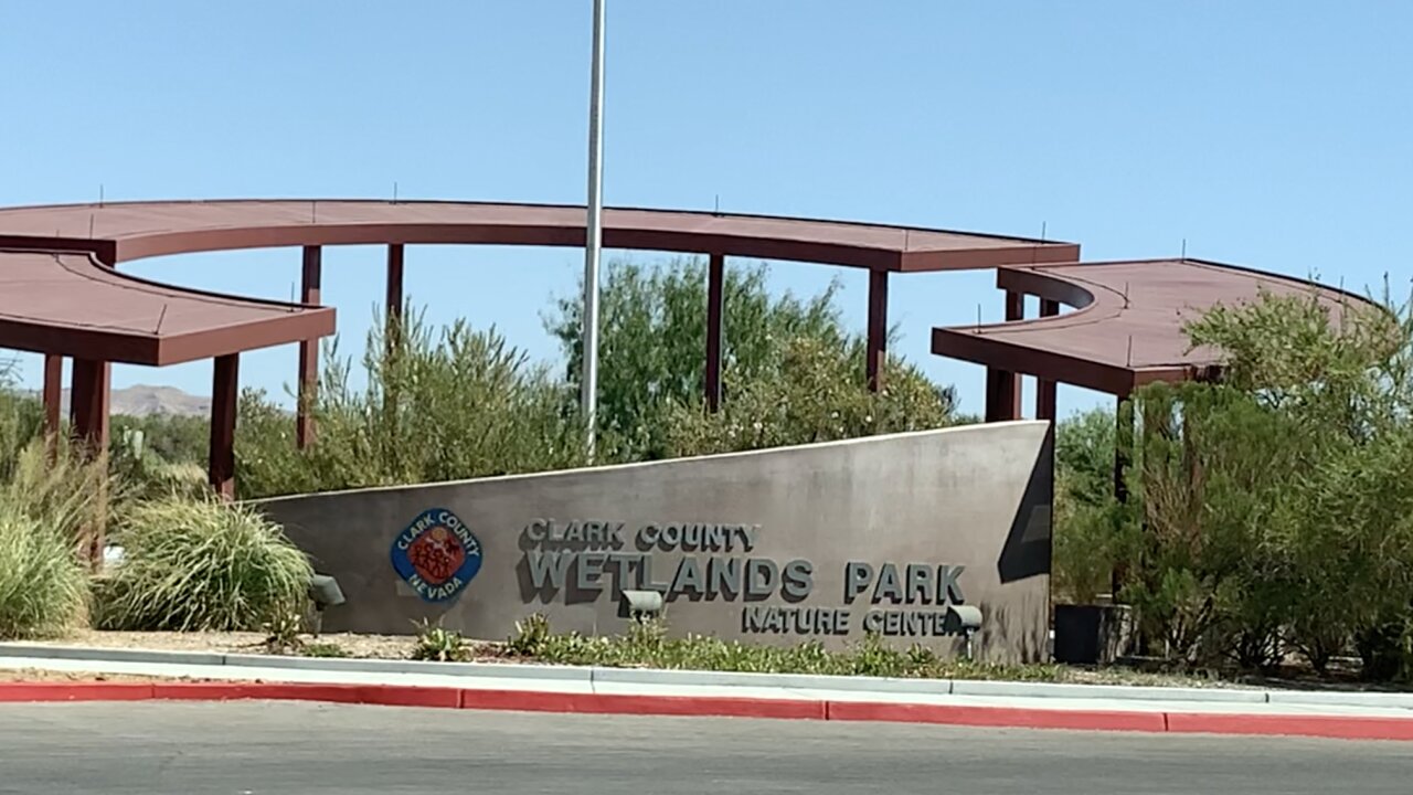 Wetlands Park remains 'hidden gem' for hikers, bird watchers in Clark County