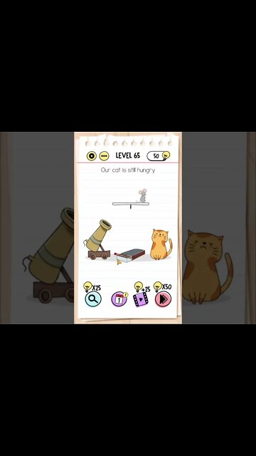 Brain Test Tricky Puzzles Level 65 Our cat is still hungry