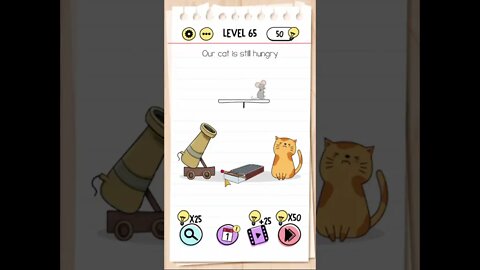 Brain Test Tricky Puzzles Level 65 Our cat is still hungry