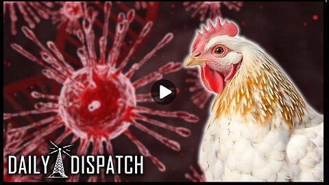 Just In Time For The Election, Pandemic 2.0 Has Commenced