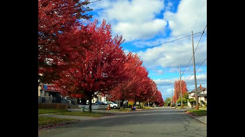 Fall Colors in Canada