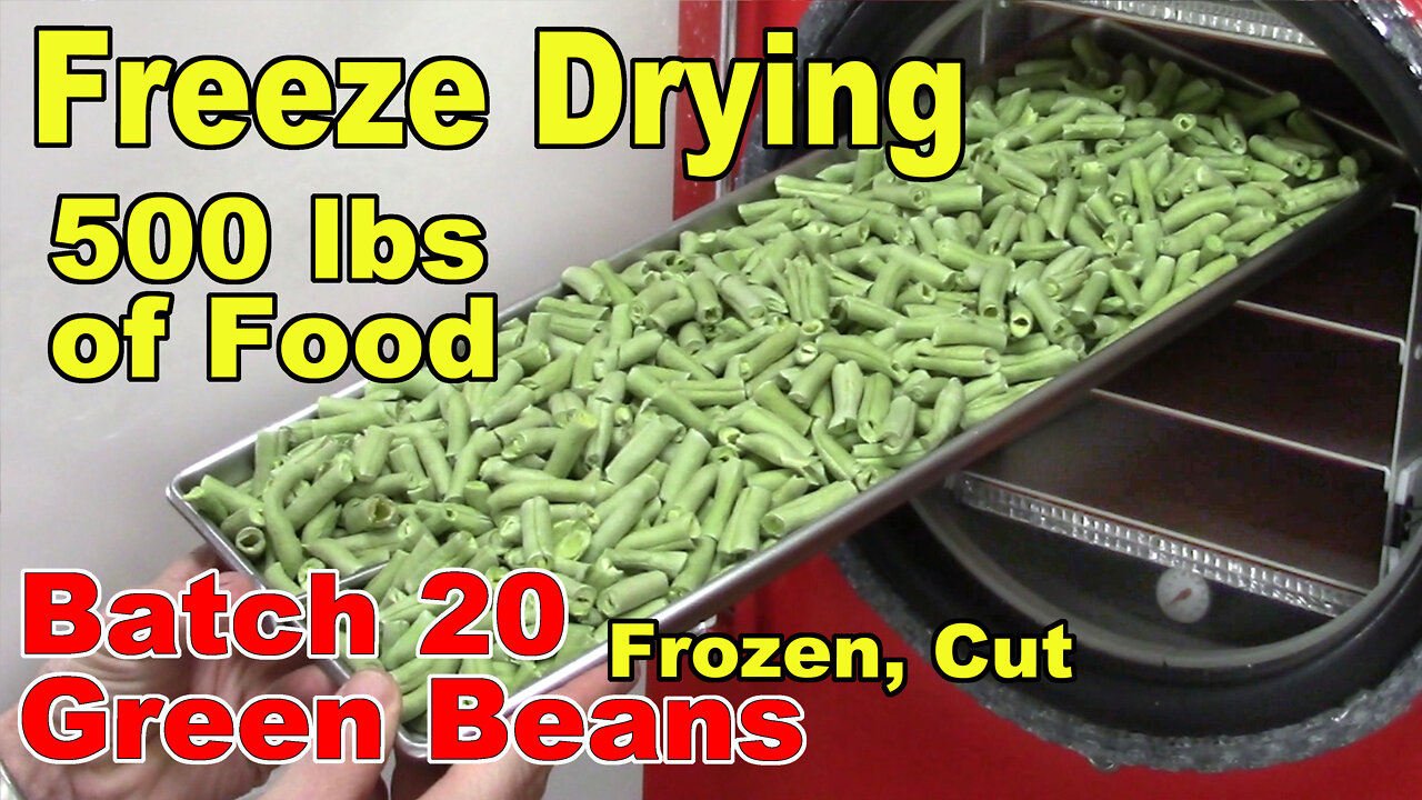 Freeze Drying Your First 500 lbs of Food - Batch 20 - Green Beans, Frozen, Cut