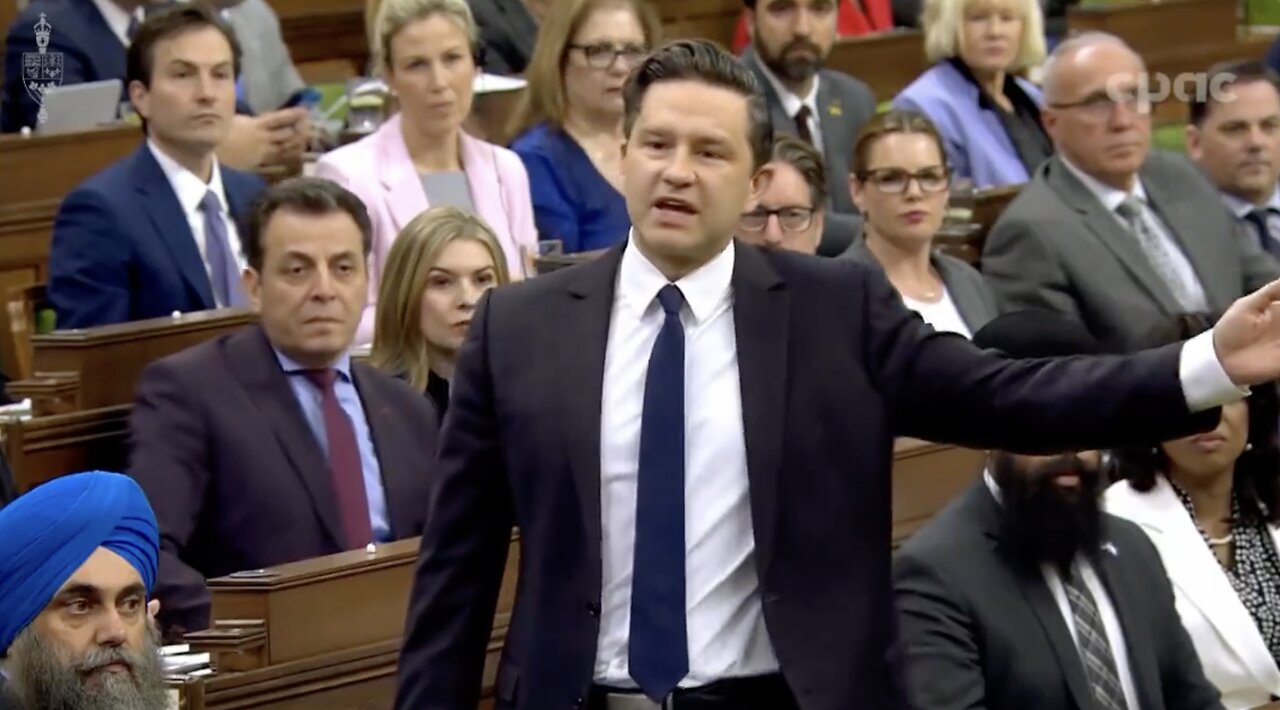 Pierre Poilievre on the Trudeau Liberals and the drug crisis: "What the hell are they thinking over there?"