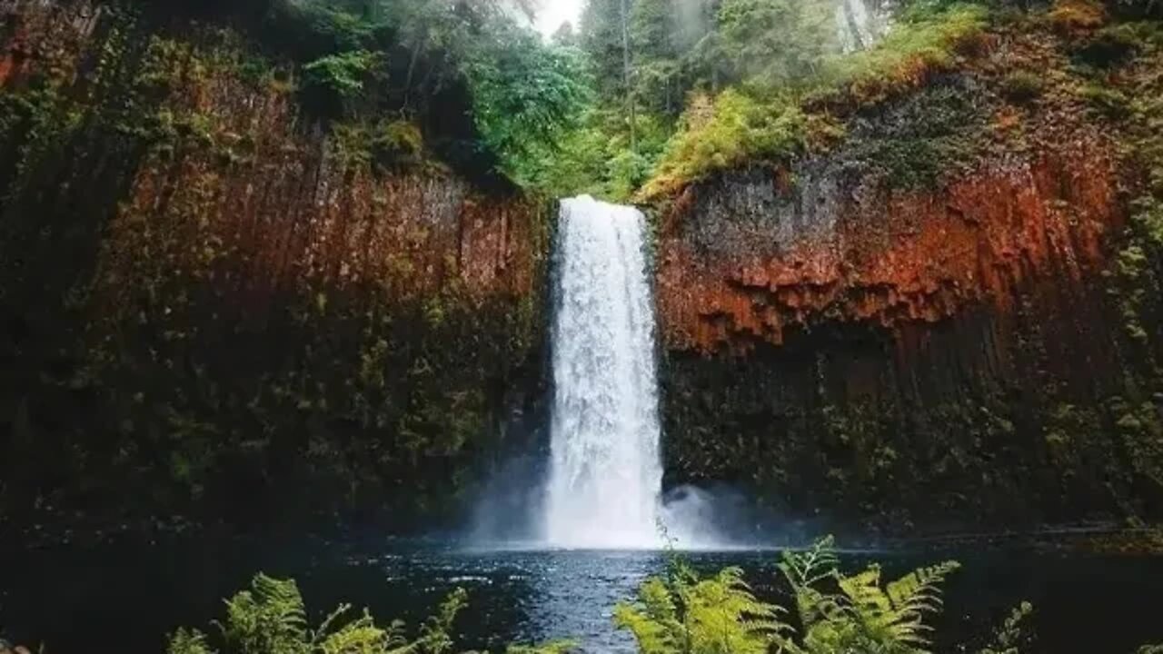 Yardism Live 7-25-22