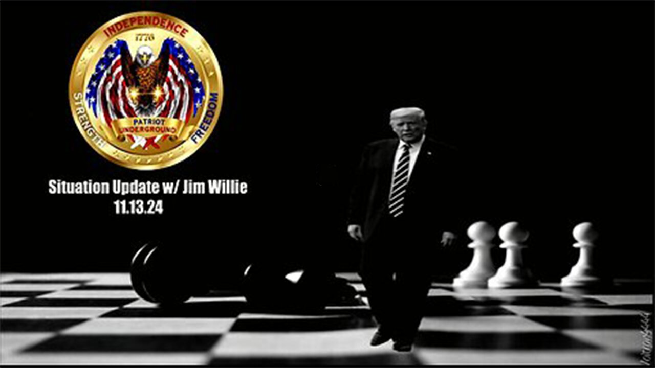 Patriot Underground - Situation Update w/ Jim Willie (11.15.2024 @ 7PM EST