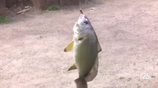 Fees waived during Wisconsin DNR Free Fun Weekend