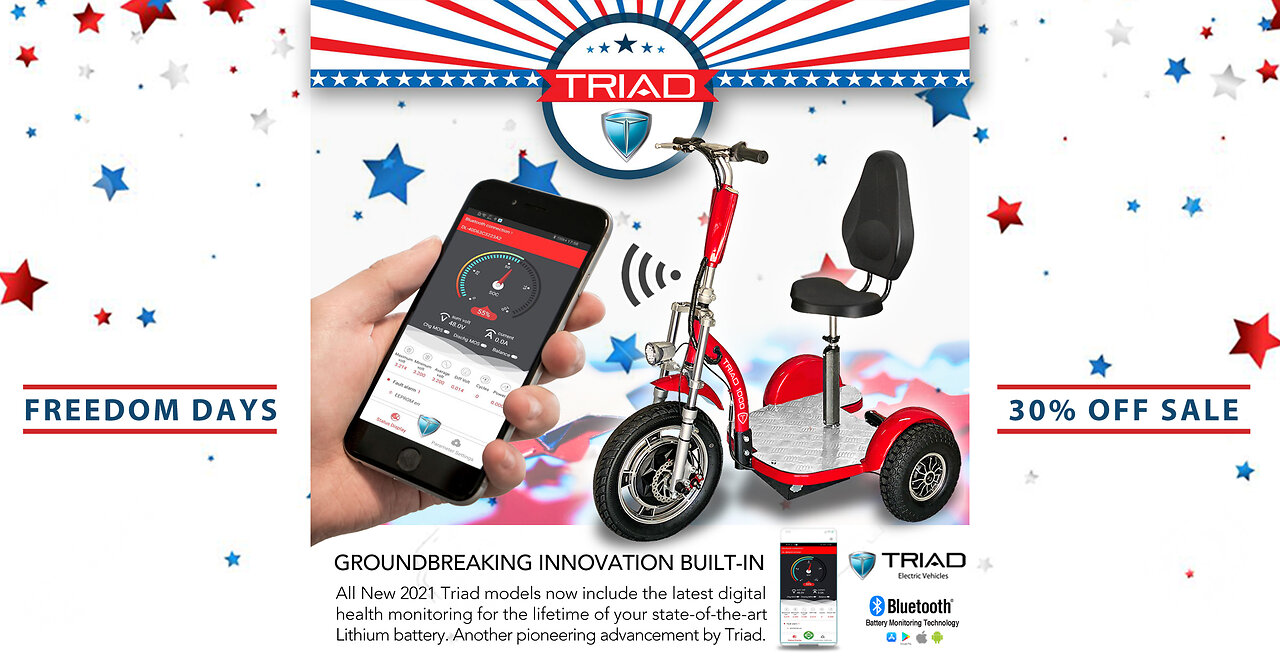 Best Adult Electric Scooters of 2024