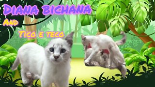 MEU QUINTAL SELVAGEM !