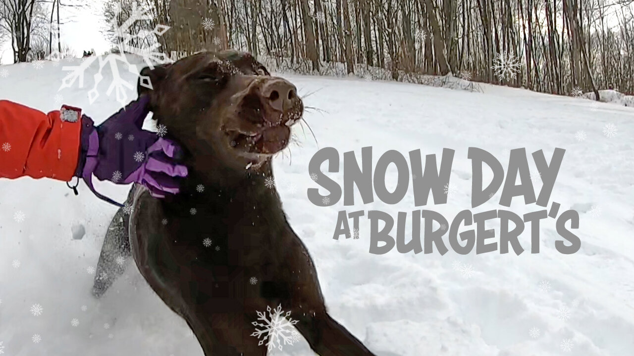 Snow Day at Burgert's