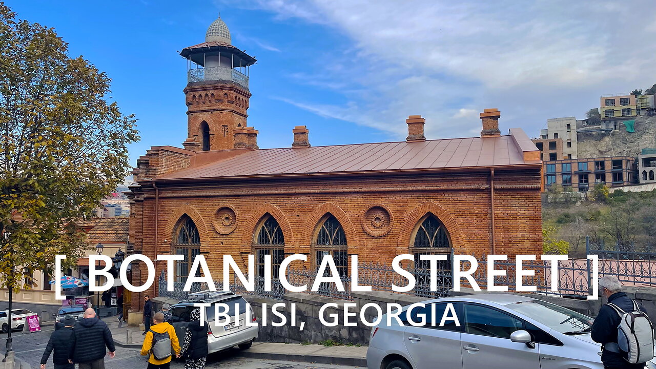 Tbilisi Walks: Botanical Street