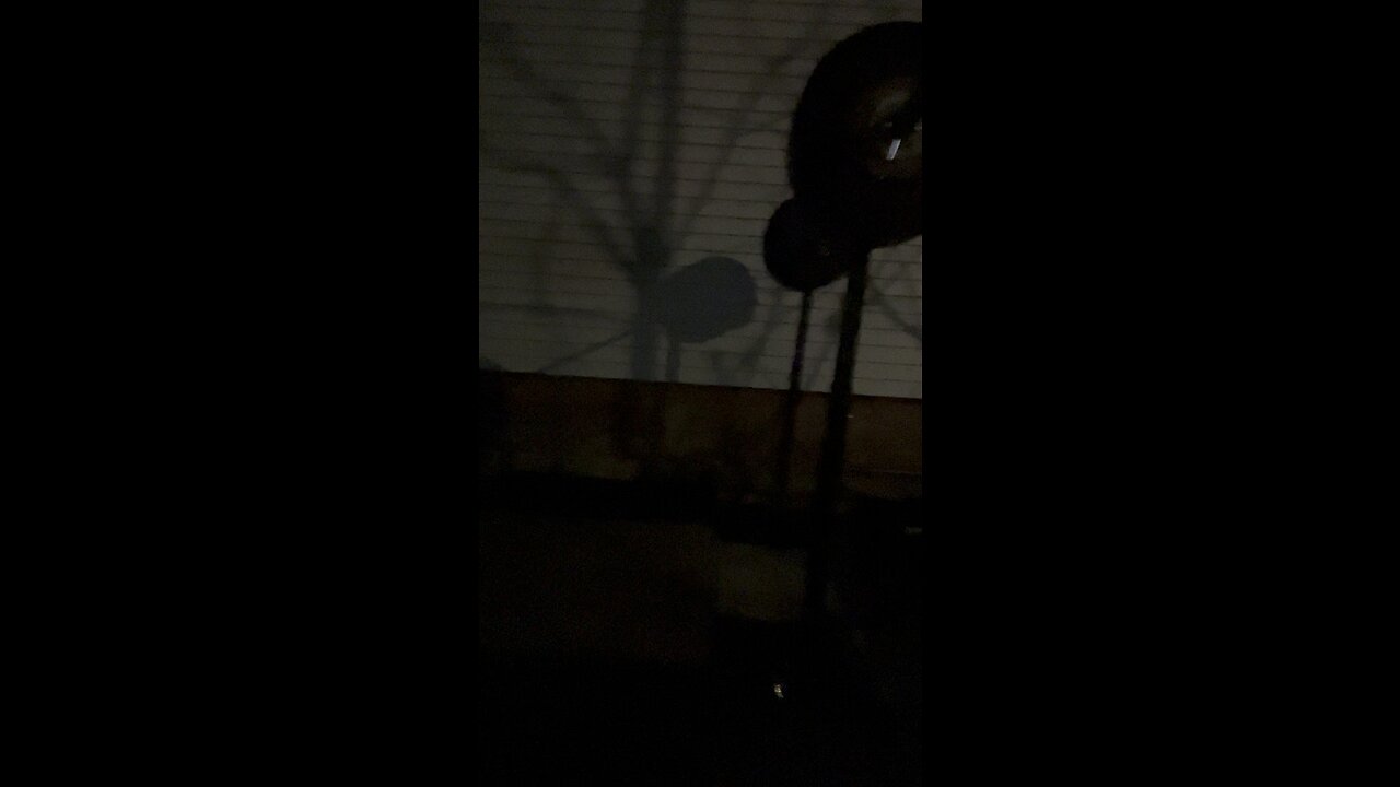 Back Squat Double 155KG/341LBs