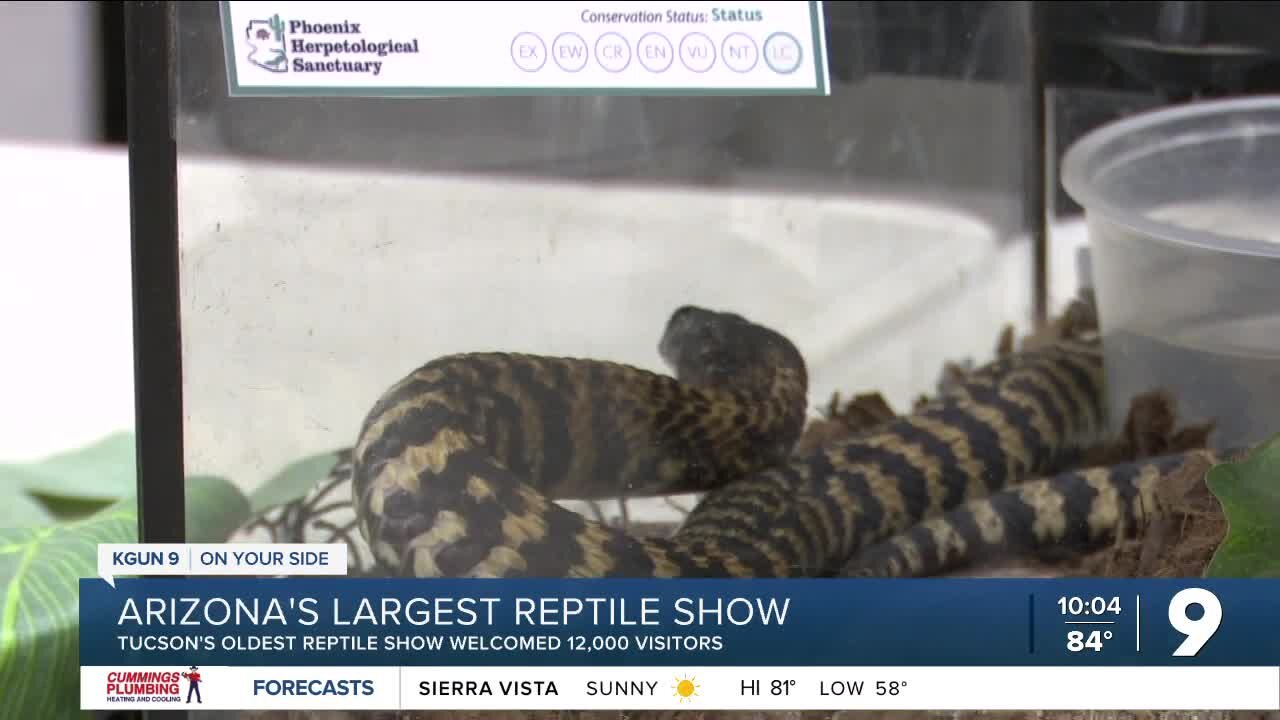 Arizona's largest and oldest reptile show welcomed about 12,000 Tucsonans