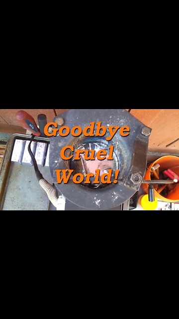 Goodbye Cruel World!