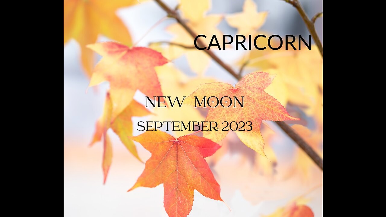 CAPRICORN- "GETTING THROUGH THIS OPENS UP PANDORA'S BOX" SEPTEMBER 2023