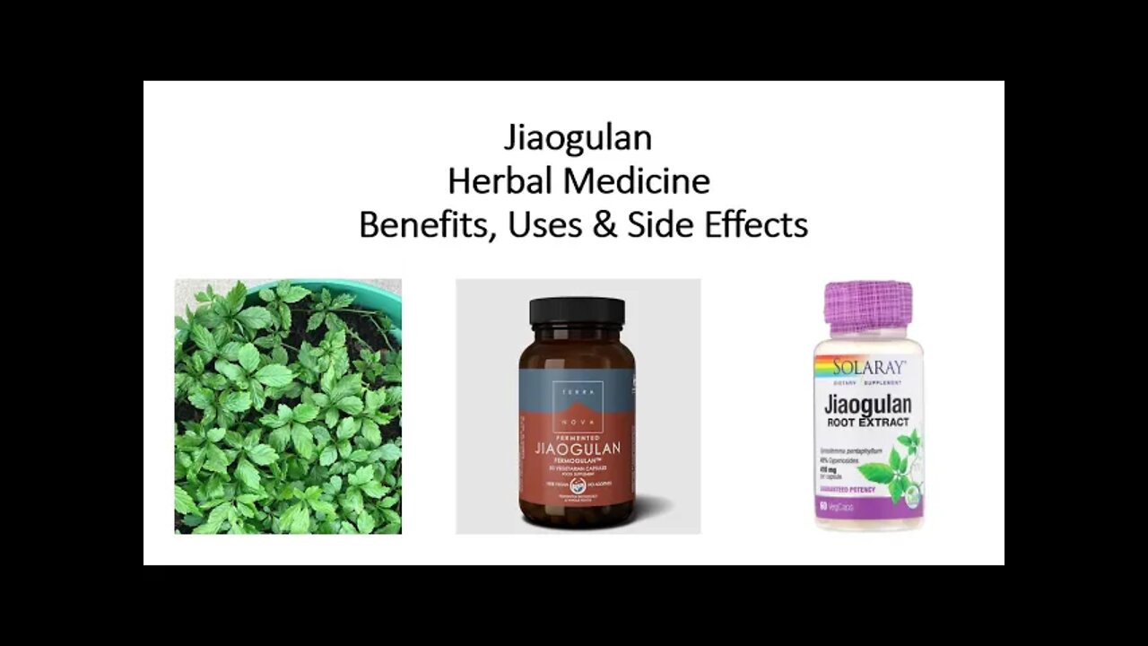 Jiaogulan Herbal Medicine Benefits, Uses & Side Effects