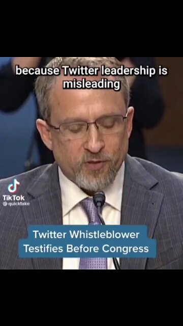 ‼🚨‼TWITTER WHISTLE BLOWER PETER ZATKO AKA MUDGE EVEN TESTIFIED THAT HACKERS CAN TWEET AS ANYONE‼🚨‼