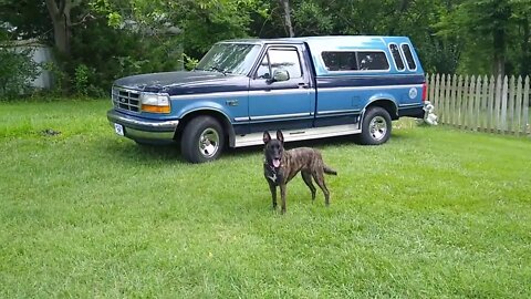 Clean 1992 F150 xlt