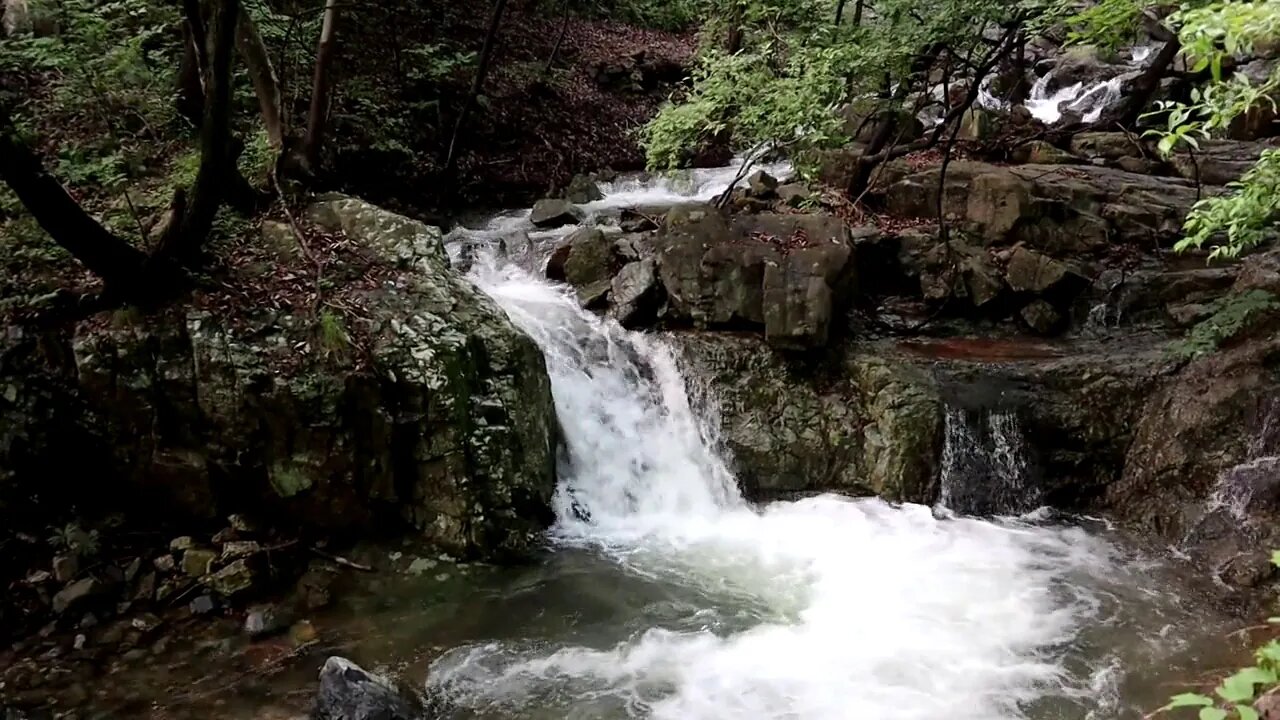 Música Para Meditação - Flauta com cantos de pássaros e barrrulho de cacheira