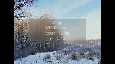 Chłopi -Wł.S.Reymont część II -Zima rozdz.10