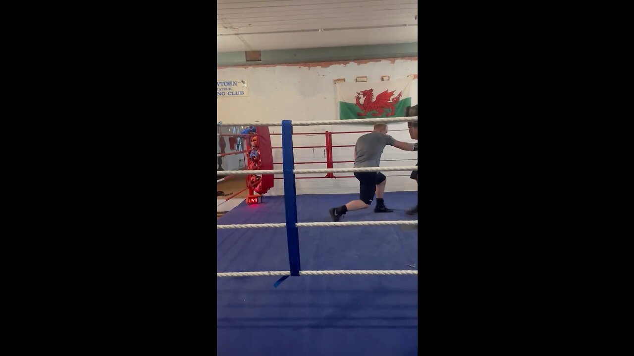 Light Sparring Clip