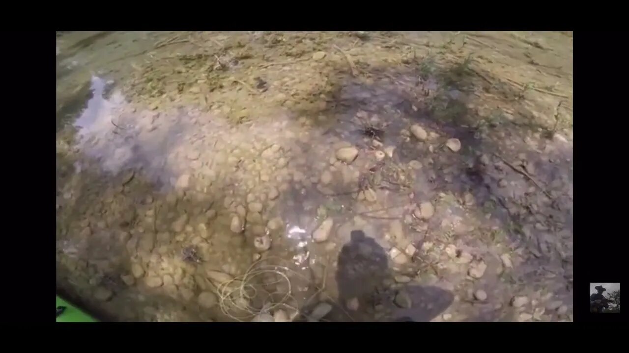 FLYFISHING the Medina River again