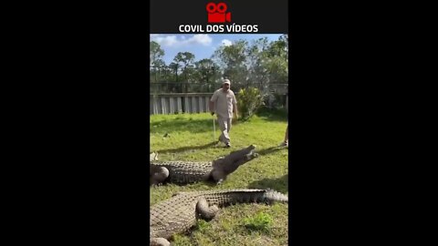 PRECISA TER MUITA CORAGEM PRA FAZER ISSO