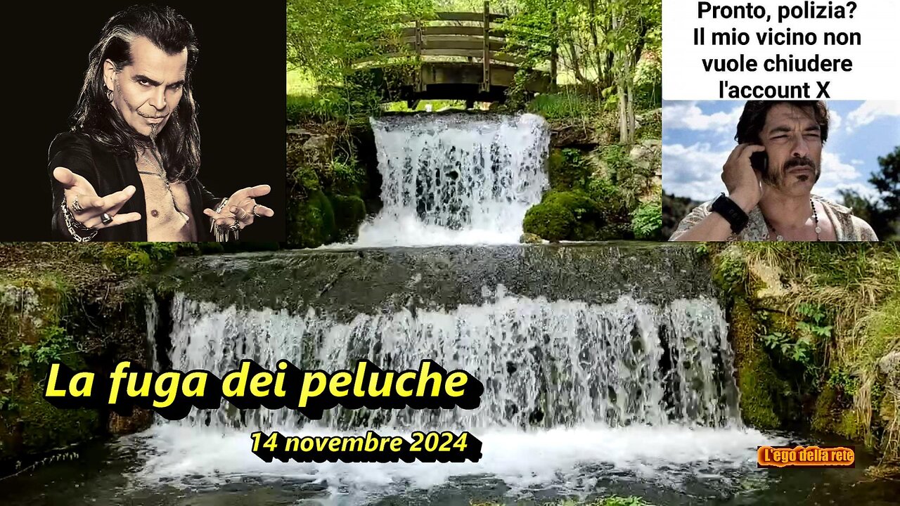 La fuga dei peluche - 14 novembre 2024