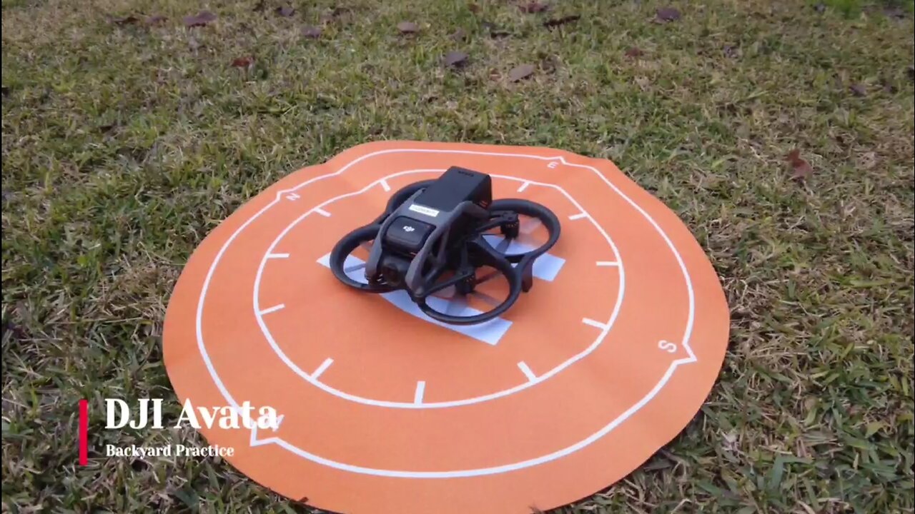 DJI Avata Backyard Test Flight