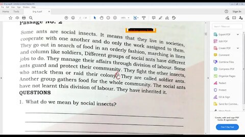 CLASS 7 ENGLISH A 04012021