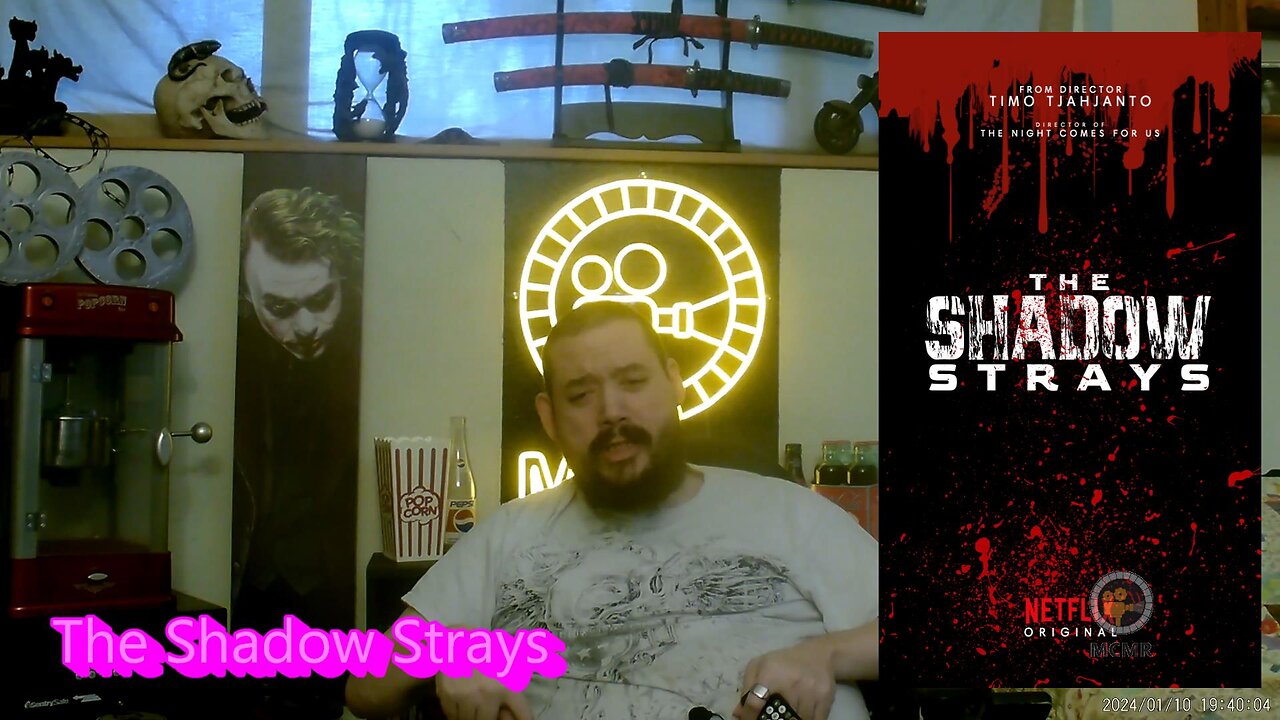 The Shadow Strays Review