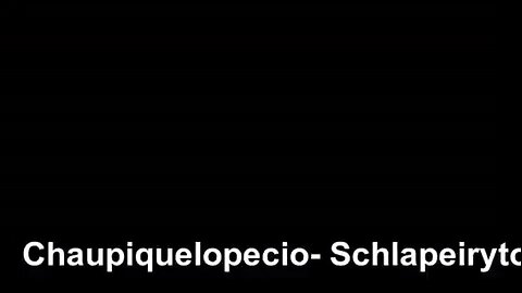 Chaupiquelopecio - Schlapeirytockrond